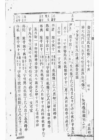 族谱预览