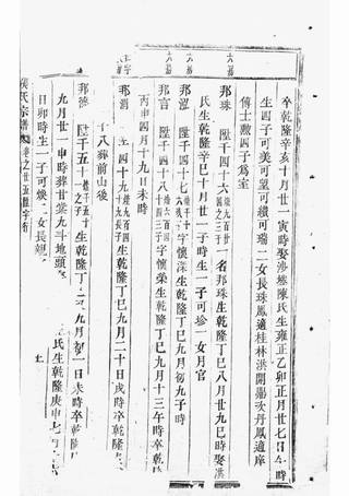 族谱预览