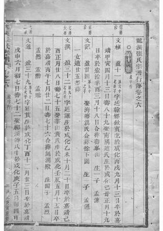 族谱预览