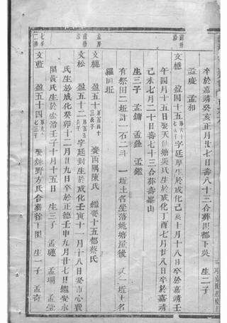 族谱预览