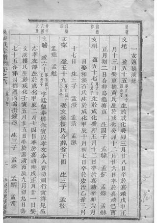 族谱预览