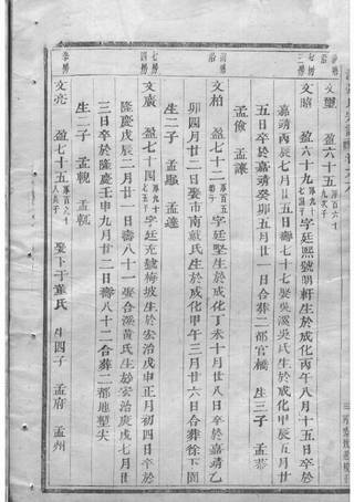 族谱预览