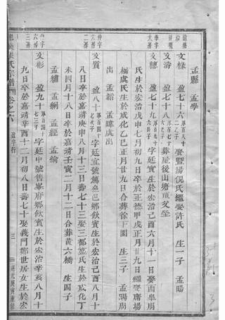 族谱预览