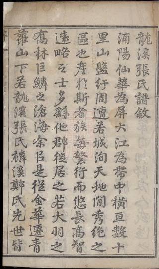 族谱预览