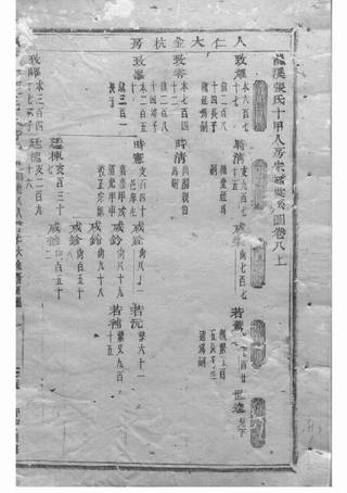 族谱预览
