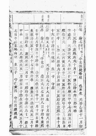 族谱预览