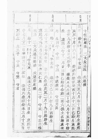 族谱预览