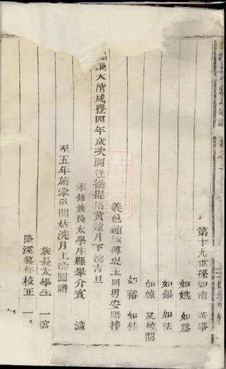 族谱预览