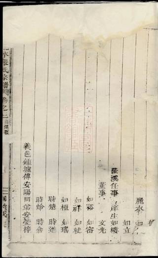 族谱预览