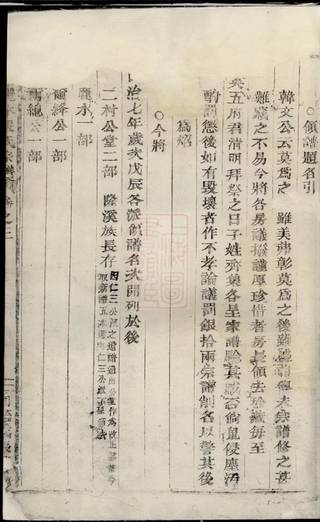 族谱预览