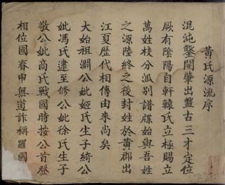 族谱预览