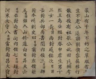 族谱预览