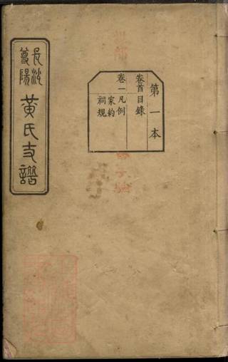 族谱预览