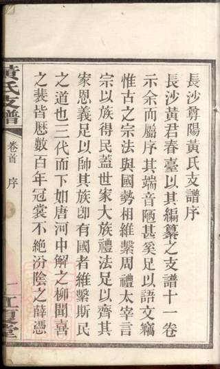 族谱预览