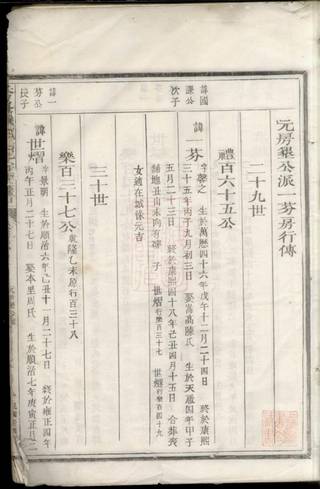 族谱预览