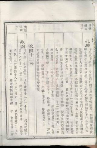 族谱预览