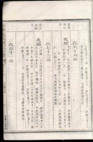 族谱预览