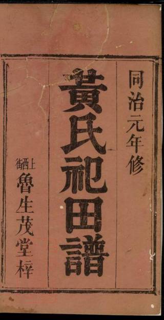 族谱预览