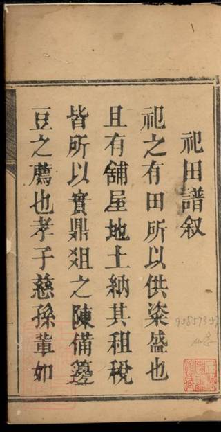 族谱预览