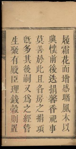 族谱预览