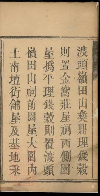 族谱预览